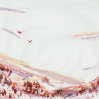 Ballardini Ranch 1