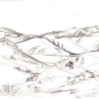 Sketch of the Ballardini