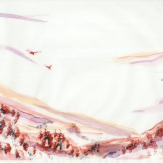 Ballardini Ranch 4