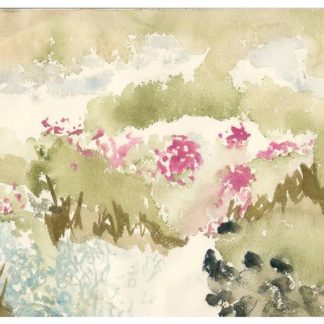 Water Lilies