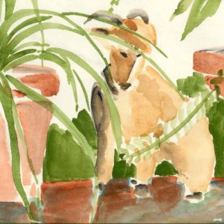Potted Plants with Goat