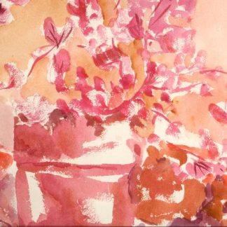 Magenta Azaleas Potted 2